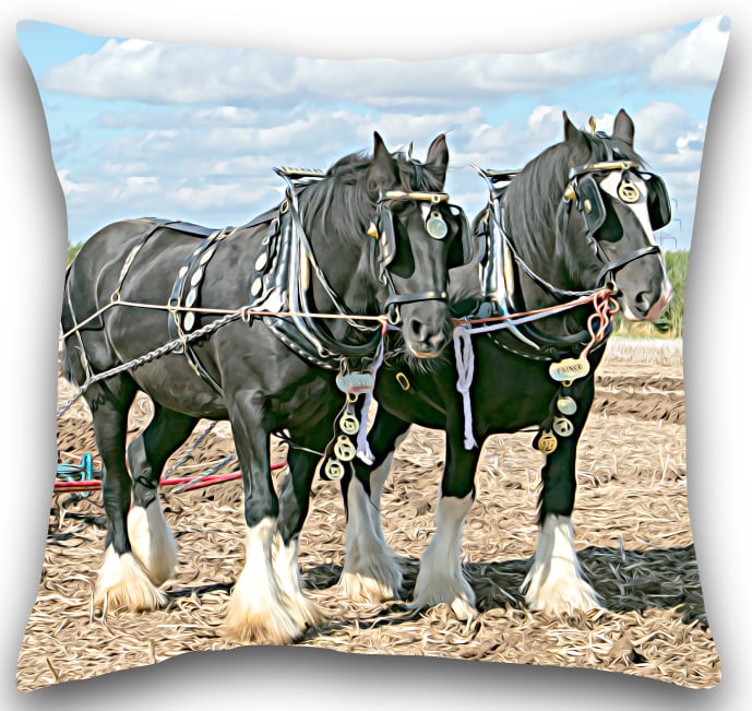 Shire Horse Cushion Shire Horse cushion cover
