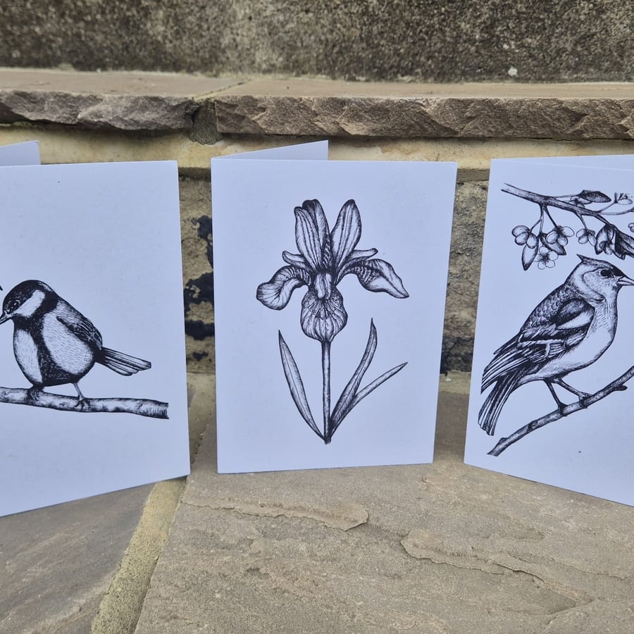 Pack of 3 floral & bird greetings cards