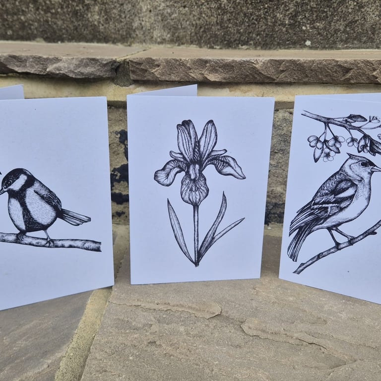 Pack of 3 floral & bird greetings cards