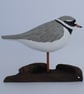 Ringed plover - Image 5
