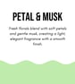 Petals & Musk Daisy Reed Diffuser – Fresh Floral Home Fragrance - Image 4