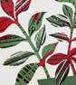 Basil Plant Wall Art, Limited Variable Edition Screen Print - Image 4
