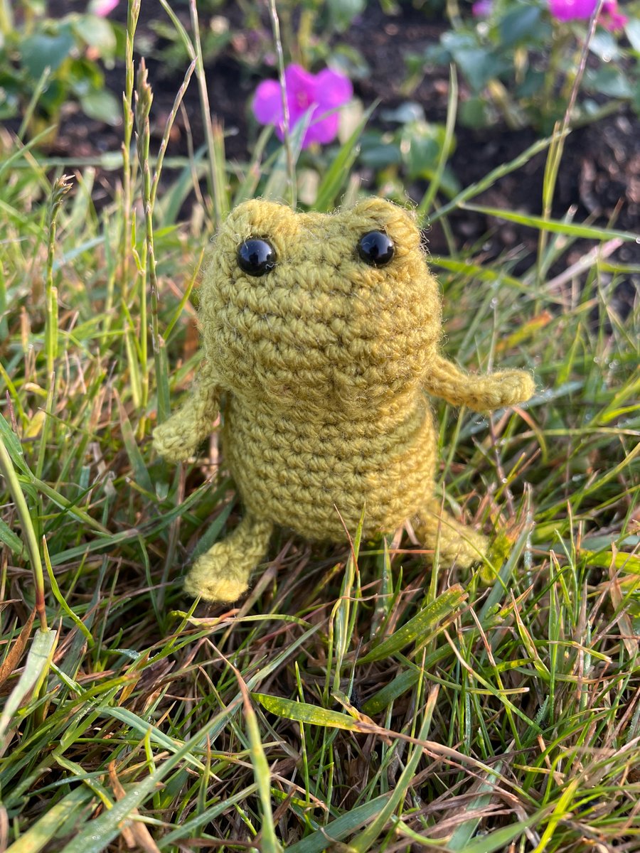 Amigurumi Crochet Frog