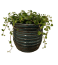 Wheel thrown Seafoam Ridge Pot  - Image 3