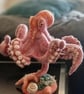 Needle felted Octopus in natural background of starfish and shells - Image 5