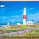 2025 A4 Wall Calendar Dorset countryside coast landscapes British UK views   