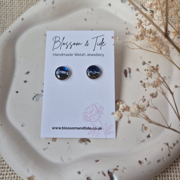 Welsh Beach Stud Earrings Handmade With Real Sand - Dark Blue