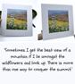 Scottish landscape - original mounted painting - sunny day - wildflowers - Image 2