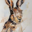 Hare, Professional Giclée Print.