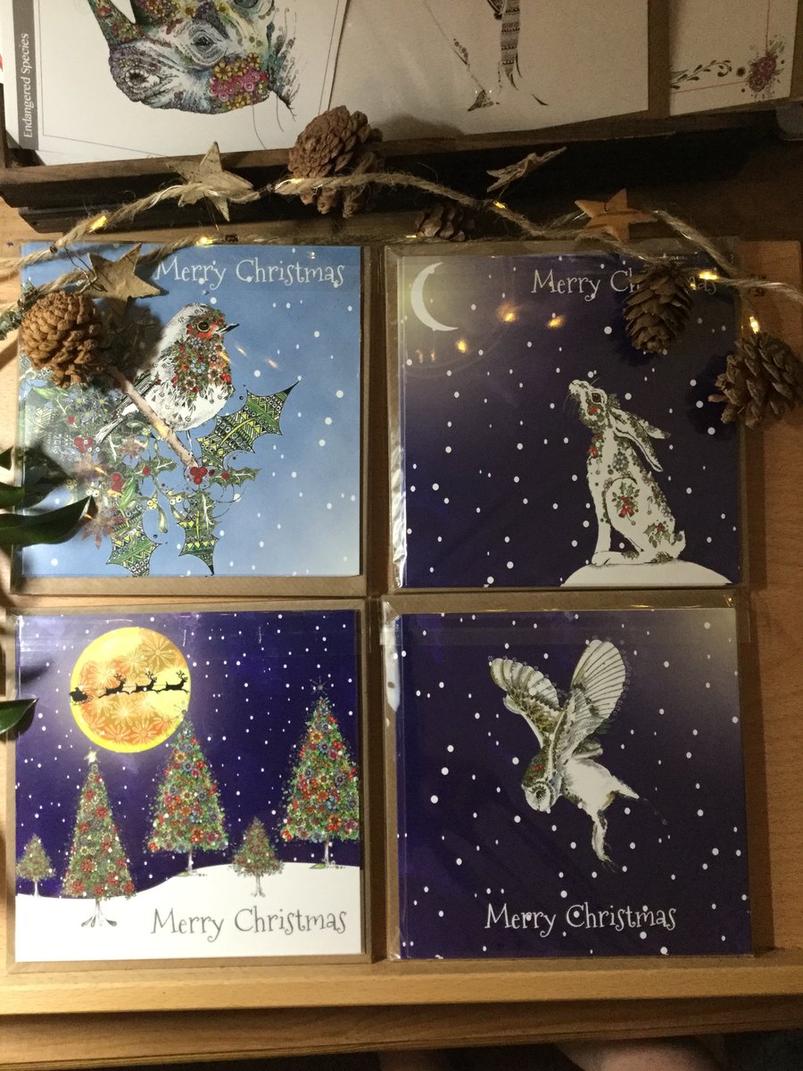 Christmas card packs x 12 cards of 4 designs 