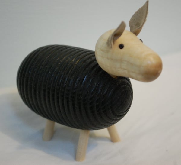 A Sheep Named Sue