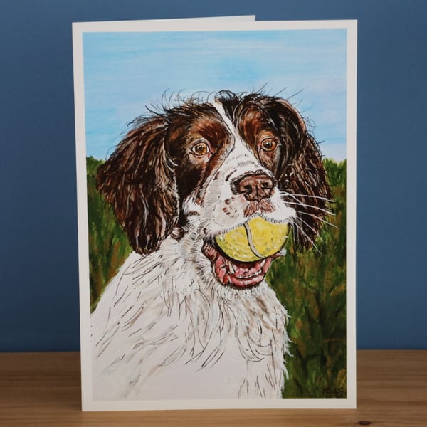 Springer Spaniel Blank Greetings Card
