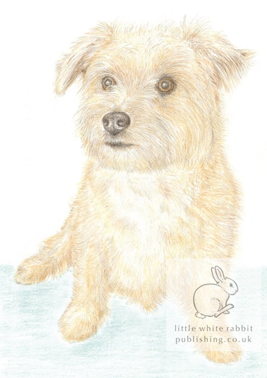 Muffin the Little Dog - Blank Card