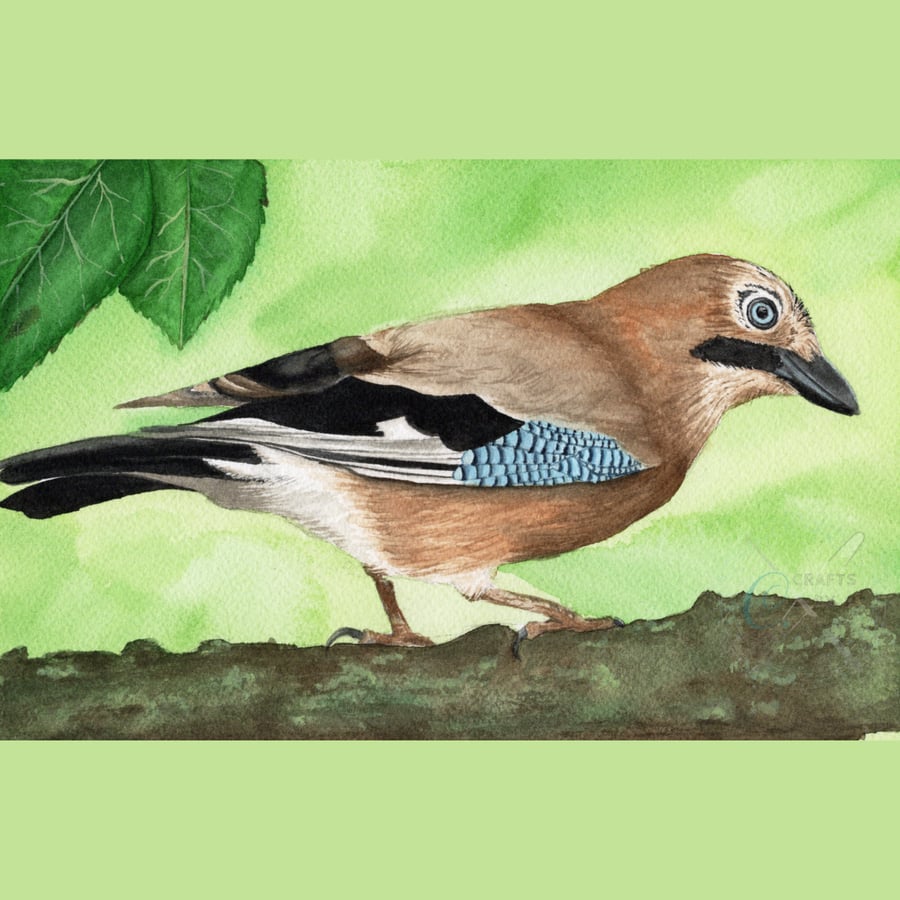 Watercolour Euroasian Jay Original A4 Painting