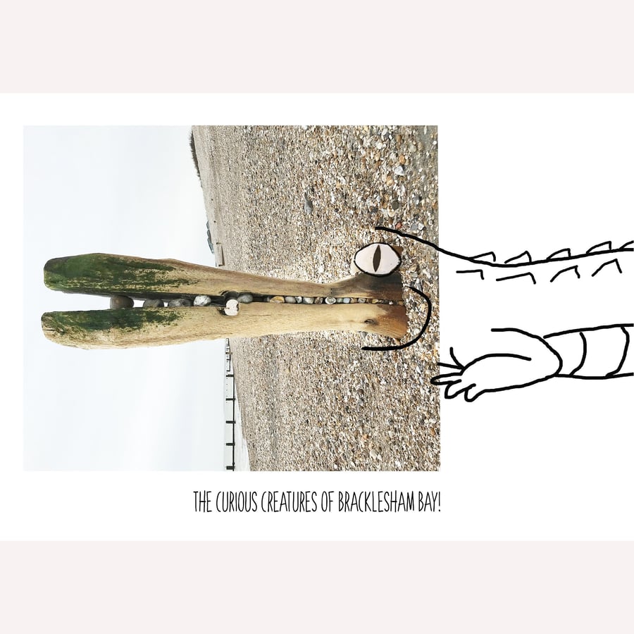 The Croc: A4 photo or A3 poster, unframed.