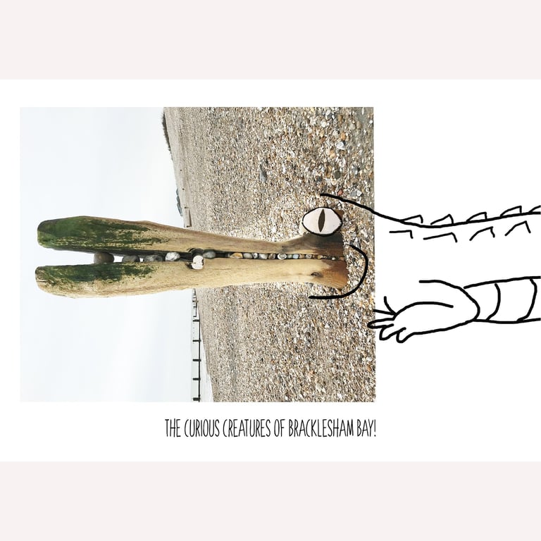 The Croc: A4 photo or A3 poster, unframed.