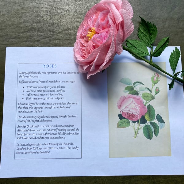 Paper Rose Gift 