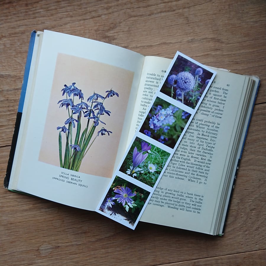 Bookmark - cottage garden flower photos - echinops forget-me-not crocus anenome