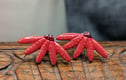 Decorative studs 