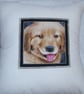  Puppy Portrait cushion - Image 1