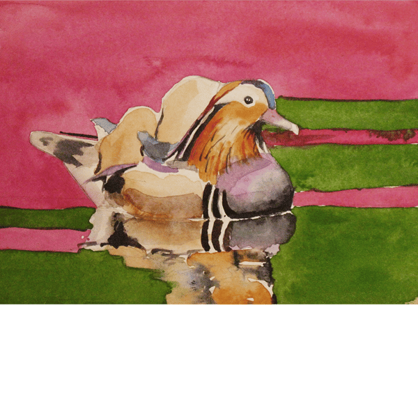 Mandarin duck. Original watercolour painting, signed by the artist.