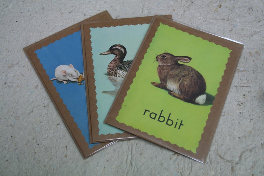 A set of three Ladybird cards