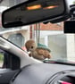 Amigurumi crochet car hanging turtle duck inspired by avatar the last airbender