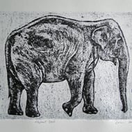 Elephant Stroll Limited Edition Collagraph Print - Folksy