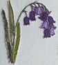 Embroidered Bluebell Card - Image 2