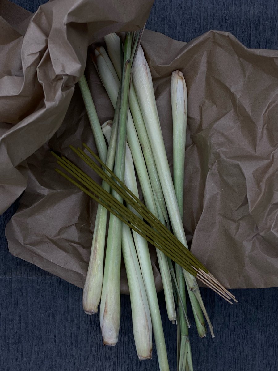 Camping Incense (Eudemonia No.0317-Lemongrass)