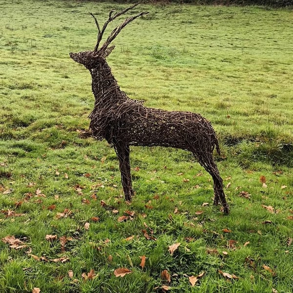 Willow Stag Sculpture, deer sculpture, outdoor art, made to order