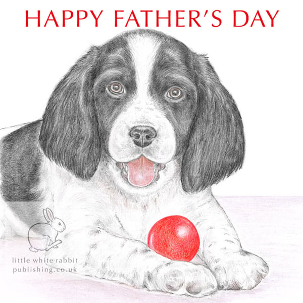 Sally the Springer Spaniel - Father's Day Card