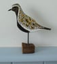 Golden plover - Image 4