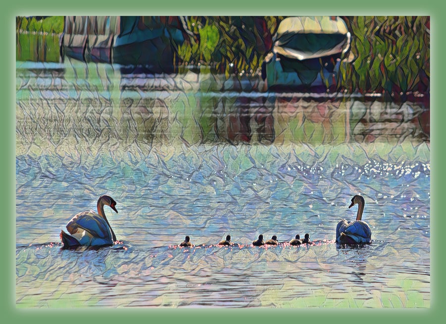 Arty Swans with Chicks Norfolk Creek Greeting Card A5