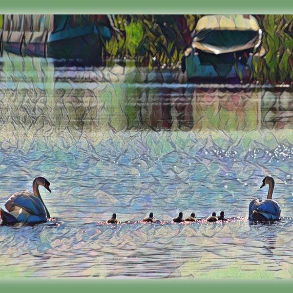 Arty Swans with Chicks Norfolk Creek Greeting Card A5