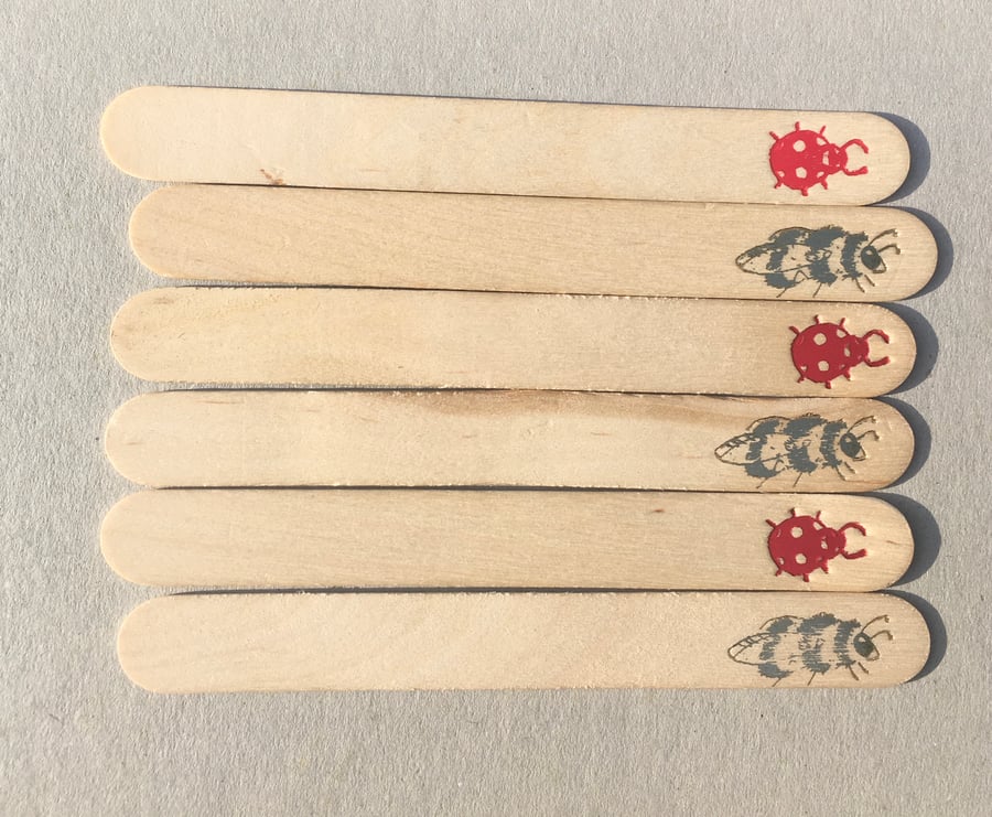 Birch Wood Plant Labels Bee and Ladybird x 6