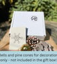Fresh fragrance soaps gift -  postage included - Image 2