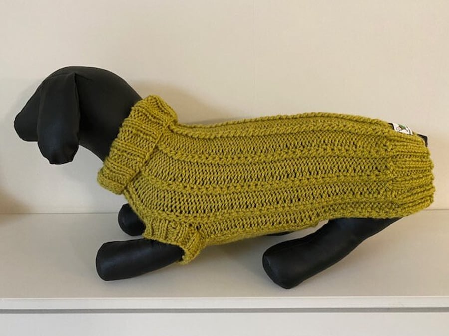 Dog Jumper - Ideal for a Miniature Dachshund or Small Dog