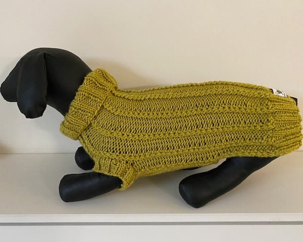 Dog Jumper - Ideal for a Miniature Dachshund or Small Dog