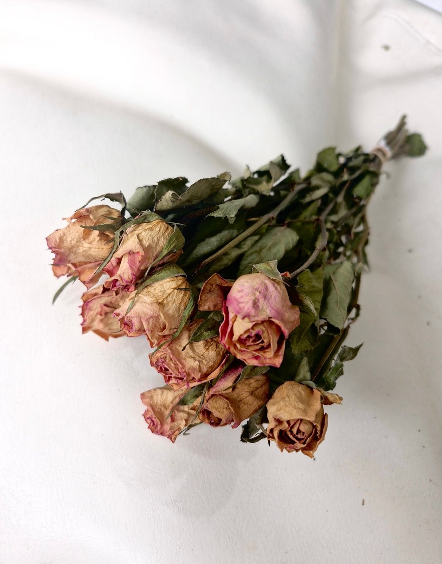 10 Dried Roses, Pink Flushed Cream. Letterbox Flowers.
