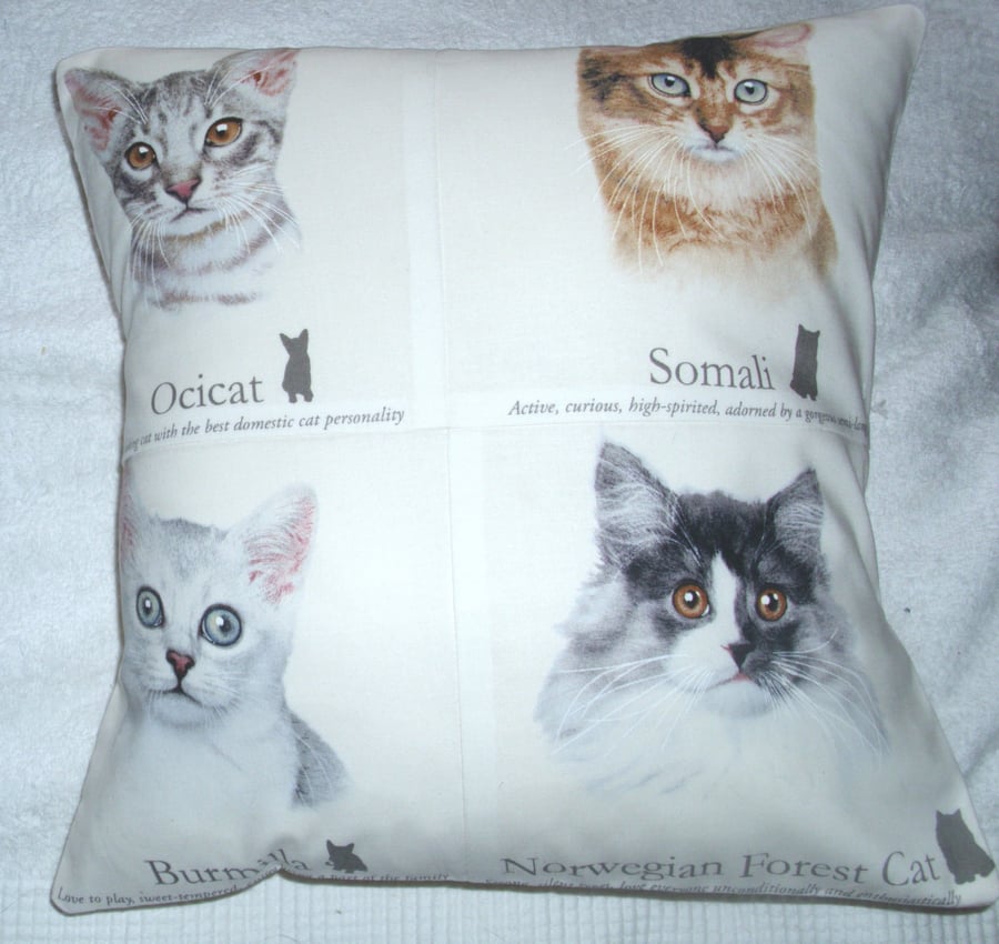 Ocicat, Somali, Burmilla and Norwegian Forest cats portraits cushion 