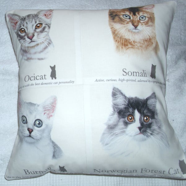 Ocicat, Somali, Burmilla and Norwegian Forest cats portraits cushion 