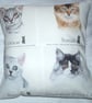 Ocicat, Somali, Burmilla and Norwegian Forest cats portraits cushion  - Image 1
