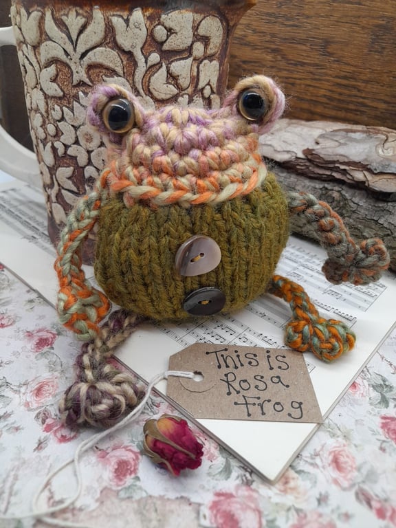 Rosa the Frog – Handmade Gardener's Frog Gift
