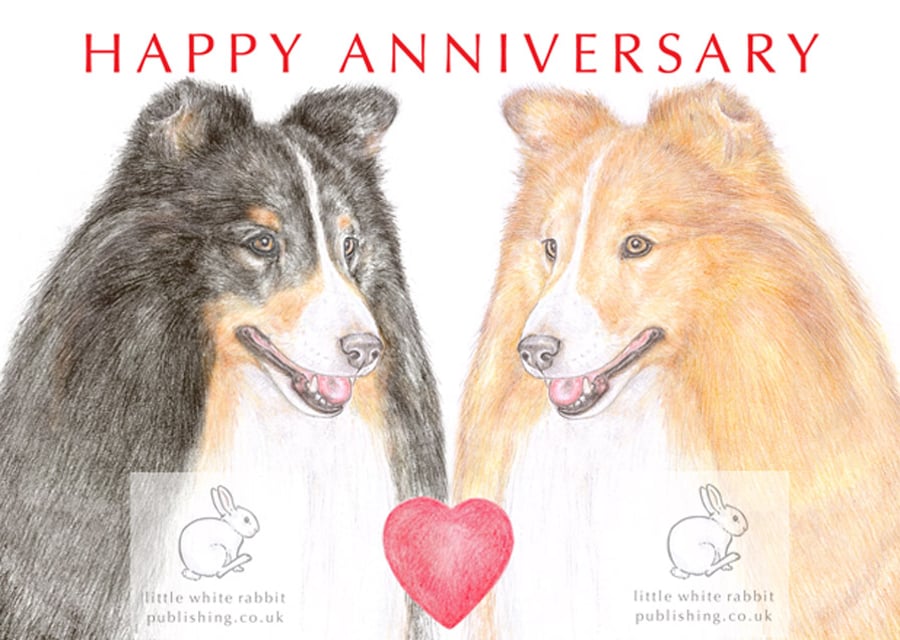Shetland Sheepdog - Anniversary Card