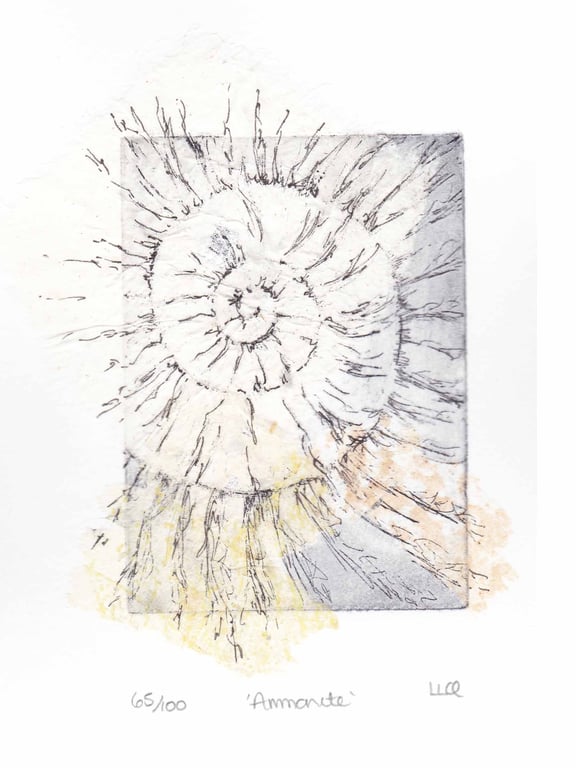 Etching no.65 of an ammonite fossil with mixed media in an edition of 100