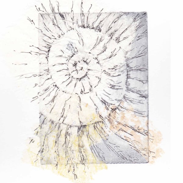 Etching no.65 of an ammonite fossil with mixed media in an edition of 100