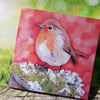 Blank greeting card of winter robin