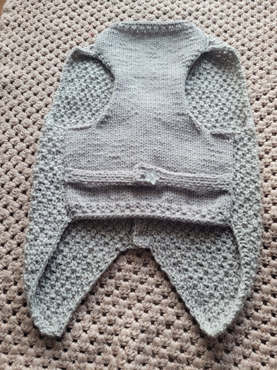 Party boy. Dog waistcoat 