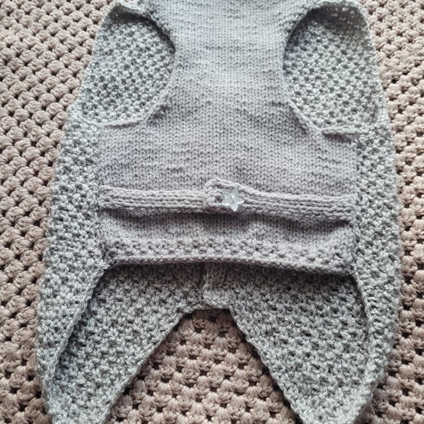 Party boy. Dog waistcoat 